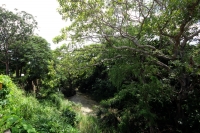 Domingo 29 de septiembre del 2013. Tuxtla Gutiérrez. Continúan las denuncias al ayuntamiento capitalino por la violencia que se gesta en las cercanías del rio Sabinal en el lado poniente de la capital de Chiapas.