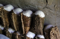 Viernes 25 de julio del 2014. Ixtapa. Un grupo familiar preserva la elaboración artesanal de Sal de Ixtapa la cual es utilizada para la elaboración de comida y medicina tradicional en las comunidades de los Altos de Chiapas.