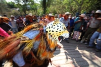 Lunes 7 de marzo. Los Danzantes del Carnaval Zoque en la comunidad San Fernando interpretan la lucha entre los personajes conocidos como El Monito y El Tigre. Esta localidad se ubica a 20 minutos sobre la carretera de Tuxtla Gutiérrez hacia la zona  de Lo