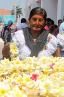 Viernes 25 de abril del 2014. Tuxtla Gutiérrez. La Flor de Mayo es la protagonista de las festividades patronales de San Marcos en la capital del estado de Chiapas, donde La Ensarta y la procesión a la usanza de los indígenas Zoques lleva a punto culminan