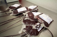 Lunes 14 de octubre del 2013. Tuxtla Gutiérrez. La campaña solidaria de donación voluntaria de sangre se lleva a cabo esta mañana en el banco Dr Domingo Chanona Rodríguez de esta ciudad.