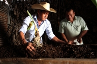 Viernes 9 de diciembre del 2016. Tuxtla Gutiérrez. La  Casita de la Siembra Zoque. Uno de los rituales más importantes dentro de El costumbre Zoque es la elaboración de la Casita de la Siembra, ceremonia realizada con carácter propiciatorio y adivinatorio