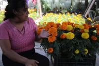 2023104. Berriozábal. Congregación Amendú. Productores de esta pequeña comunidad dedican su esfuerzo para producir las Flores de Cempasuchitl  para esta temporada.
