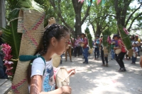 20210430. Suchiapa. La Hoja de la Espadaña es traída en hombros durante días para ser utilizada de manera ritual en las festividades de esta comunidad de la depresión central de Chiapas