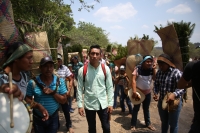 20210430. Suchiapa. La Hoja de la Espadaña es traída en hombros durante días para ser utilizada de manera ritual en las festividades de esta comunidad de la depresión central de Chiapas