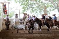 Sábado 21 de julio del 2018. Tuxtla Gutiérrez. El Torneo Estatal Charro-Chiapas 2018 continúa este fin de semana en el Lienzo MaVeCo Sábado 21 de julio del 2018. Tuxtla Gutiérrez. El Torneo Estatal Charro-Chiapas 2018 continúa este fin de semana en el Lienzo MaVeCo