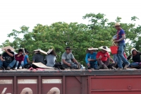 Miércoles 16 deJulio del 2014. Arriaga. Cientos de migrantes viajan sobre los vagones del tren de carga hacia Ixtepec, Oaxaca y en lo que podría ser uno de los últimos viajes que permitirán las políticas mexicanas migratorias en la Ruta Férrea del Migrant