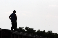 Miércoles 16 deJulio del 2014. Arriaga. Cientos de migrantes viajan sobre los vagones del tren de carga hacia Ixtepec, Oaxaca y en lo que podría ser uno de los últimos viajes que permitirán las políticas mexicanas migratorias en la Ruta Férrea del Migrant