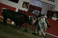 Corrida de toros en la reinauguración de la Plaza de San Roque, con el Zotoluco, Pizarro y Pablo Hermoso de Mendosa, esta noche.