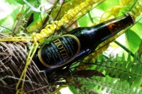 Sábado 13 de julio del 2014. Tuxtla Gutiérrez. La Cerveza Artesanal Tzotzil es elaborada con malta y caramelo o con tonos frutales y florales además de ser filtrada con granos tostados y molidos de café por lo que es considerada una bebida gourmet dedicad Sábado 13 de julio del 2014. Tuxtla Gutiérrez. La Cerveza Artesanal Tzotzil es elaborada con malta y caramelo o con tonos frutales y florales además de ser filtrada con granos tostados y molidos de café por lo que es considerada una bebida gourmet dedicad