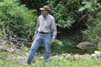 Martes 24 de mayo. Dentro de los terrenos de la comunidad Las Maravillas del Municipio de Coapilla se ubica la UMA para la reproducción de Venados de Cola Blanca donde se observan varios de estos animales viviendo y alimentándose dentro de los bosques del Martes 24 de mayo. Dentro de los terrenos de la comunidad Las Maravillas del Municipio de Coapilla se ubica la UMA para la reproducción de Venados de Cola Blanca donde se observan varios de estos animales viviendo y alimentándose dentro de los bosques del