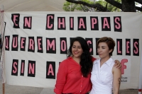 Miércoles 25 de noviembre del 2015. Tuxtla Gutiérrez. En el día internacional para la Eliminación de la Violencia hacia las Mujeres en la capital del estado de Chiapas.