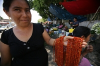 Las flores de Zicáte son utilizadas para la elaboración de collares para ser utilizado en las diferentes celebraciones del mes de mayo en la cultura de la etnia Zoque de la depresión central del estado de Chiapas.