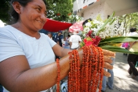 Las flores de Zicáte son utilizadas para la elaboración de collares para ser utilizado en las diferentes celebraciones del mes de mayo en la cultura de la etnia Zoque de la depresión central del estado de Chiapas.