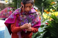 Lunes 2 de noviembre del 2015. San Lorenzo Zinacantan. Las familias indígenas Tsotsiles comparten frutas y alimentos según las costumbres y ritos propios de esta cultura de la región de Los altos de Chiapas.