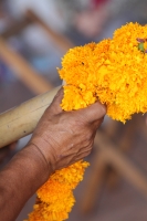 Martes 25 de octubre del 2016. Tuxtla Gutiérrez. Flor de cempasúchil o musajoyo. La ermita del Cerrito es adornada con flores de cempasúchil o musajoyo, ofrenda que es arreglada delicadamente por los maestros tradicionales de la comunida zoque