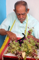 Martes 25 de octubre del 2016. Tuxtla Gutiérrez. Flor de cempasúchil o musajoyo. La ermita del Cerrito es adornada con flores de cempasúchil o musajoyo, ofrenda que es arreglada delicadamente por los maestros tradicionales de la comunida zoque
