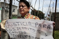 2026107. Tuxtla. Continúan envenenado perros y gatos comunitarios en la Colonia Shanka
