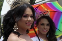 Sábado 28 de junio del 2014. Tuxtla Gutiérrez. La comunidad Lésbico, Gay Bi y Transexual, Travesti de Chiapas marcha por la avenida central exigiendo igualdad, respeto y libertada en este estado del sureste de México.