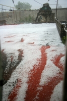 Foto/Fabián Vidal. Sábado 24 de marzo del 2012. Espectacular granizada en San Cristóbal de las Casas.