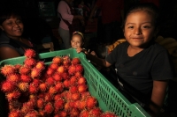 Viernes 8 de julio. Un niño de escasos 6 años de edad juega y se divierte con la lente fotográfica mientras que sus padres se dedican a la distribución del fruto del Rambután en la Central de Abastos de la ciudad de Tuxtla Gutiérrez. Este fruto es sembrad