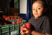 Viernes 8 de julio. Un niño de escasos 6 años de edad juega y se divierte con la lente fotográfica mientras que sus padres se dedican a la distribución del fruto del Rambután en la Central de Abastos de la ciudad de Tuxtla Gutiérrez. Este fruto es sembrad
