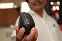 Miércoles 26 de junio del 2019. Tuxtla Gutiérrez. El precio del aguacate en los mercados públicos continúa entre los 70 y 80 pesos dependiendo de la variedad del fruto por lo que los marchantes esperan que se normalice el precio a finales del mes entrante