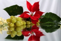Domingo 30 de diciembre del 2018. Tuxtla Gutiérrez. Felices fiestas, que este año entrante los llene a todos de alegrí­a y mucho amor.