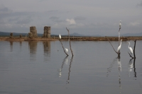 Viernes 2 de mayo del 2017. La Concordia. El antiguo poblado conocido como La Concordia Antigua fue inundado durante la construcción de la Presa La Angostura en 1974 dejando la estructura arquitectónica dentro de las aguas del rio Grijalva.   El desfogue 
