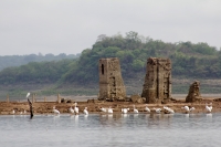 Viernes 2 de mayo del 2017. La Concordia. El antiguo poblado conocido como La Concordia Antigua fue inundado durante la construcción de la Presa La Angostura en 1974 dejando la estructura arquitectónica dentro de las aguas del rio Grijalva.   El desfogue 