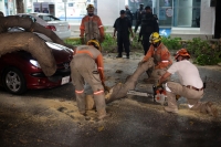 20210326. Tuxtla G. Un árbol cae sobre un vehículo en el cruce de la Avenida y Calle central en la capital del estado de Chiapas