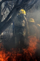 Martes 20 de diciembre del 2016. Tuxtla Gutiérrez. Varios vehículos fueron incendiados esta mañana durante el atentado a las instalaciones de la Secretaria de Educación de Chiapas sin que a la hora se tengan informes de quien ocasionara el siniestro. Martes 20 de diciembre del 2016. Tuxtla Gutiérrez. Varios vehículos fueron incendiados esta mañana durante el atentado a las instalaciones de la Secretaria de Educación de Chiapas sin que a la hora se tengan informes de quien ocasionara el siniestro.