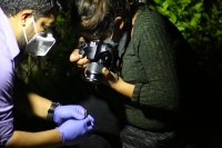 20210702. Tuxtla G. Durante el resguardo y levantamiento de evidencias de la balacera don de fuera herido un menor de edad en la 16 poniente norte.