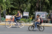 Domingo 12 de noviembre del 2017. Tuxtla Gutiérrez. Una mañana en la expo de fotografí­as de los alumnos de la Unach expuesta esta mañana en el Parque de la Marimba.