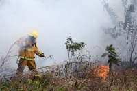 Viernes 27 de diciembre del 2013. Bomberos de la SSyCP durante las actividades de control de un incendio de un pastizal en las cercanías del Libramiento Norte y Calzada al Sumidero
