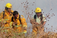 Viernes 27 de diciembre del 2013. Bomberos de la SSyCP durante las actividades de control de un incendio de un pastizal en las cercanías del Libramiento Norte y Calzada al Sumidero