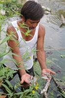 Martes 16 de mayo del 2017. Suchiapa, Chiapas. Habitantes de la comunidad Pacú del municipio de Suchiapa intentan limpiar los peces muertos que contaminan la región por las descargas de aguas residuales al rio que atraviesa esta comunidad de la depresión 