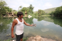 Martes 16 de mayo del 2017. Suchiapa, Chiapas. Habitantes de la comunidad Pacú del municipio de Suchiapa intentan limpiar los peces muertos que contaminan la región por las descargas de aguas residuales al rio que atraviesa esta comunidad de la depresión 