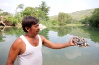 Martes 16 de mayo del 2017. Suchiapa, Chiapas. Habitantes de la comunidad Pacú del municipio de Suchiapa intentan limpiar los peces muertos que contaminan la región por las descargas de aguas residuales al rio que atraviesa esta comunidad de la depresión 
