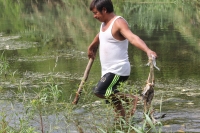 Martes 16 de mayo del 2017. Suchiapa, Chiapas. Habitantes de la comunidad Pacú del municipio de Suchiapa intentan limpiar los peces muertos que contaminan la región por las descargas de aguas residuales al rio que atraviesa esta comunidad de la depresión 