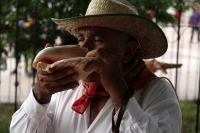 Domingo 26 de junio del 2016. Chiapa de Corzo. La Danza del Colibrí o Burrioncito. Esta danza de origen prehispánico es representada por jóvenes chiapacorceños en la víspera de la celebración de San Pedro en esta rivereña ciudad colonial. Los danzantes re