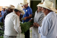 Lunes 24 de julio del 2017. Suchiapa, Chiapas. La Danza del Caballo Blanco o Nandayuli. Durante los festejos de Santa Ana en esta comunidad, los jóvenes bailan acompañados del ritmo del carrizo y tambores en un vaivén frenético