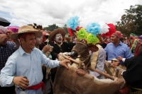 Martas 13 de junio del 2017. Suchiapa. El recorrido de la topada del Santísimo da inicio a las danzas del Calalá en las comunidades de esta localidad de la depresión central de Chiapas.  Los danzantes se reúnen entre las comunidades de oriente de esta loc
