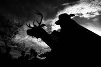 Miércoles 14 de agosto del 2017. Chiapa de Corzo. Los danzantes del Calalá en la ribera del rio Grande guardan la costumbre del visitar el Cerro del Tigre o Diliñumbure donde los habitantes relatan la historia del lugar encantado donde aparecía un pequeño