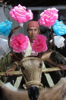 Lunes 20 de junio (40 fotos) Los participantes de la danza del Calalá visten tocados color azul y adornan sus cabezas con paliacates para identificarse con la usanza de los pueblos originales de la depresión central de Chiapas. Esta festividad tiene su pu
