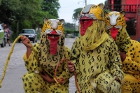 Miércoles 30 de mayo del 2018. Chiapa de Corzo. Los jóvenes danzantes del Calalá del Bario Benito Juárez se preparan para realizar el recorrido hacia el Cerro del Tigre esta tarde