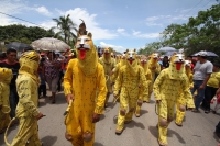Miércoles 22 de junio.  (20 fotos). El jueves de Corpus se viste de colores y de festividad en la comunidad de Suchiapa, cuando sucede el punto culminante de las celebraciones tradicionales del Calalá o Danza del Venado y del Tigre el cual representa part