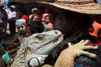 Miércoles 22 de junio.  (20 fotos). El jueves de Corpus se viste de colores y de festividad en la comunidad de Suchiapa, cuando sucede el punto culminante de las celebraciones tradicionales del Calalá o Danza del Venado y del Tigre el cual representa part