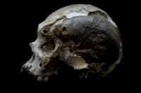 Jueves 23 de septiembre. Una calavera humana de más de 7.000 años de antigüedad fue encontrada en las cuevas de la comunidad de Ocosocuautla y posteriormente entregada a los investigadores del Museo de Antropología del INAH en Chiapas. Estos restos son es