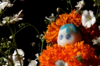 Martes 28 de octubre del 2014. Tuxtla Gutiérrez. Las flores de Cempasuchil y Nubes acompañan las Calaveritas de Azúcar en los mercados públicos de la capital del estado de Chiapas en los días previos a los festejos de los Santos Difuntos.